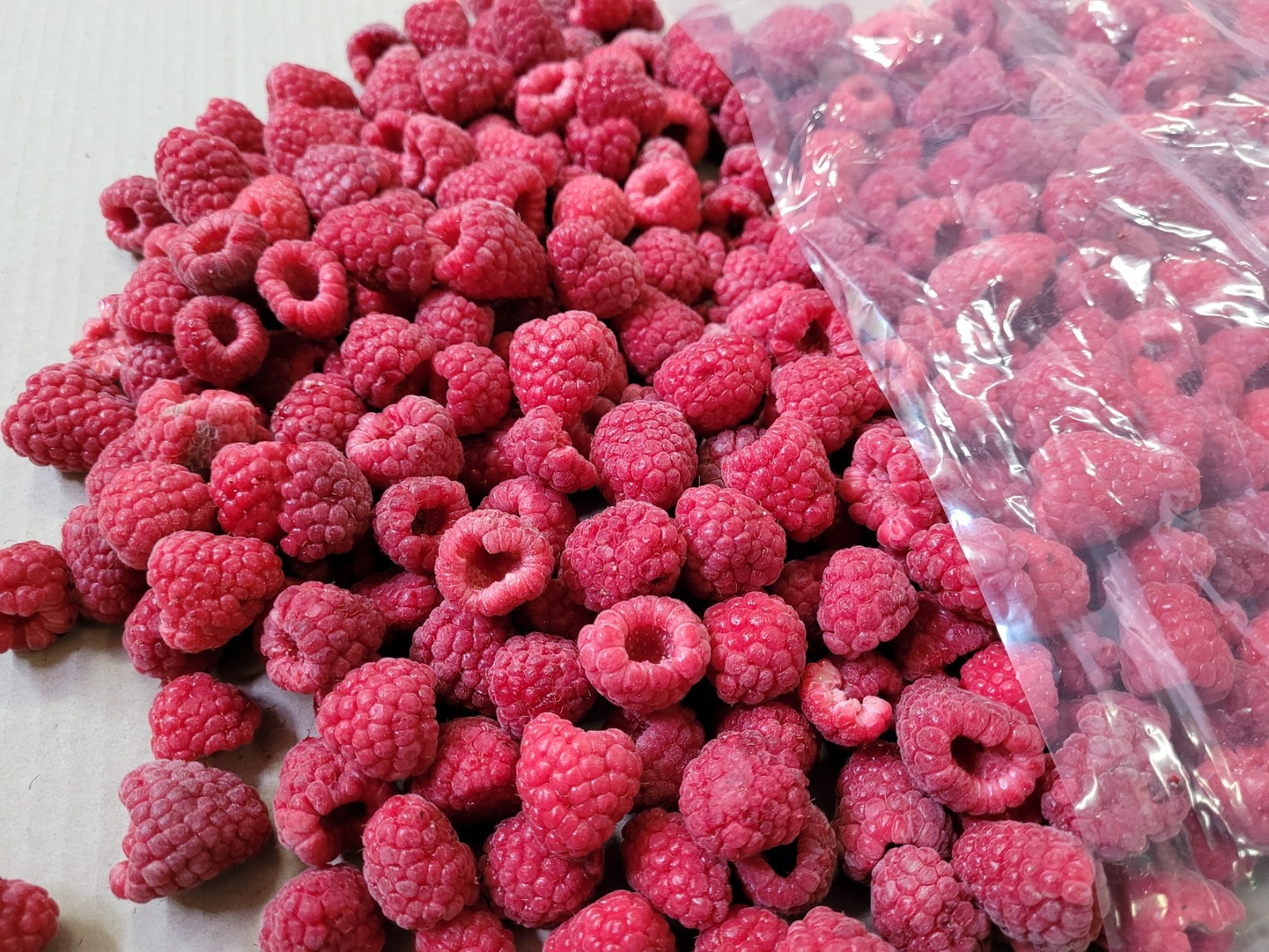 Frozen raspberries for sale, 90+, Individual packaging: 2.5 kg packs, Collective packaging: 10 kg cardboard (4 x 2.5 kg)