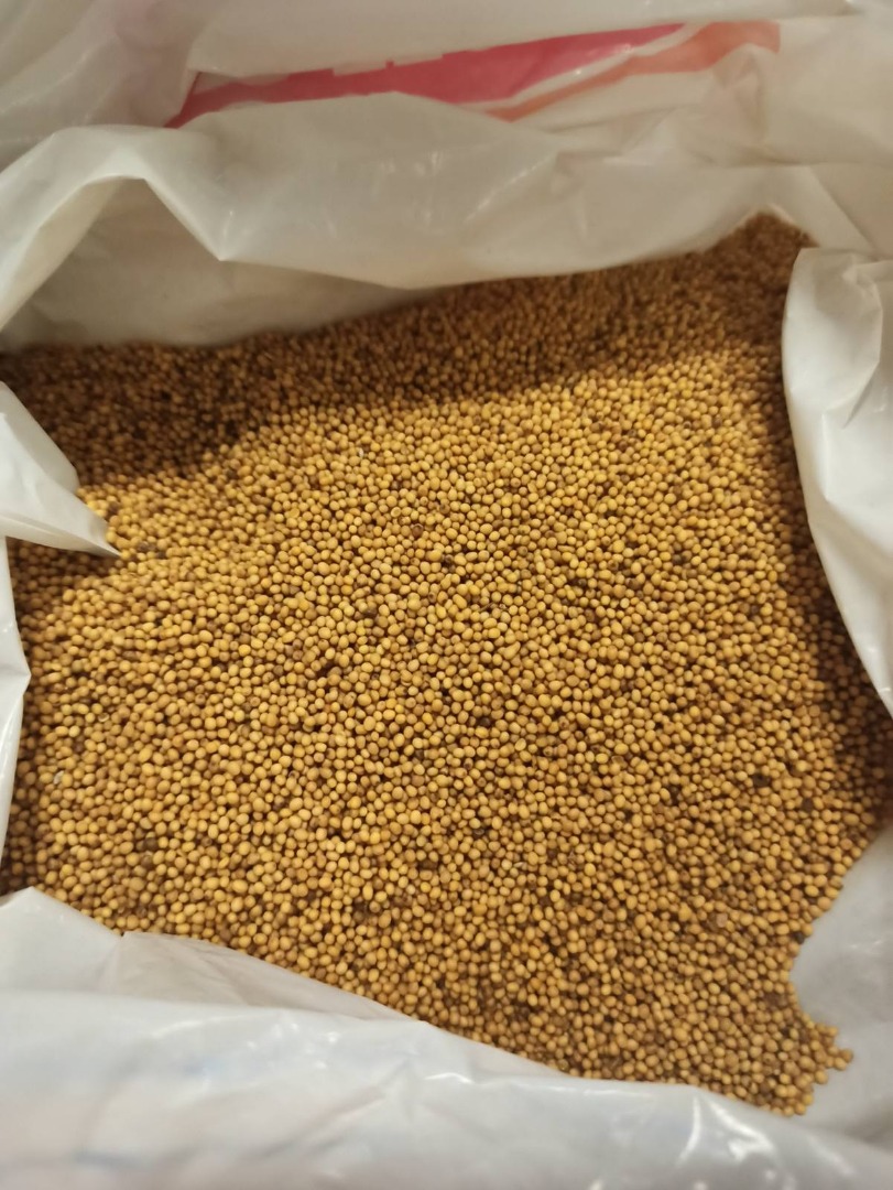 Premium quality white mustard On site in Riga (Latvia) Package: BIG BAG 1.t Delivery to your warehouse throughout Europe is possible We offer best quality