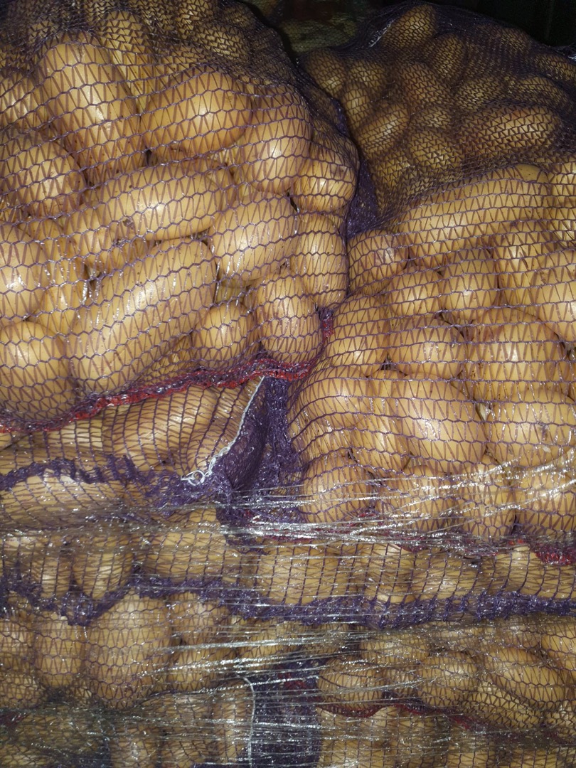 Potatoes, Gala and Queen Anna varieties, caliber 6+