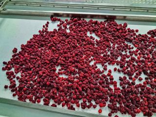 Our Ukrainian company offers high-quality frozen raspberries. The price