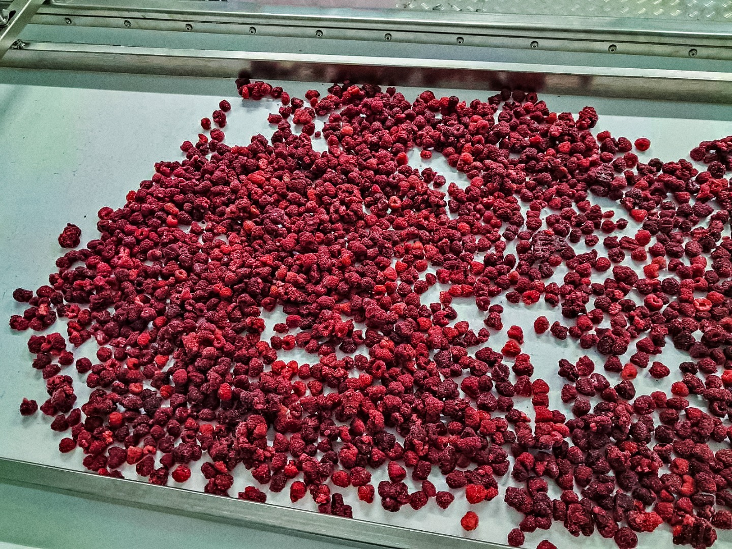 Our Ukrainian company offers high-quality frozen raspberries