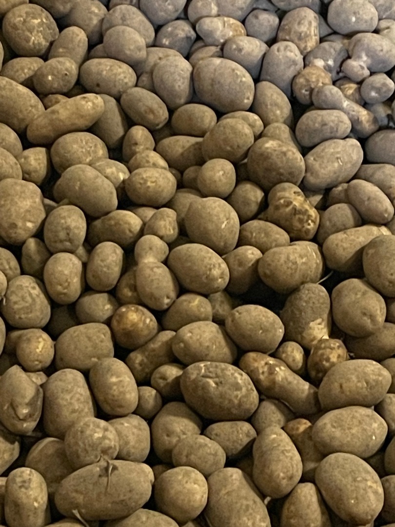 I will sell potatoes