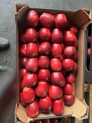 I am selling Red Jonaprince apples