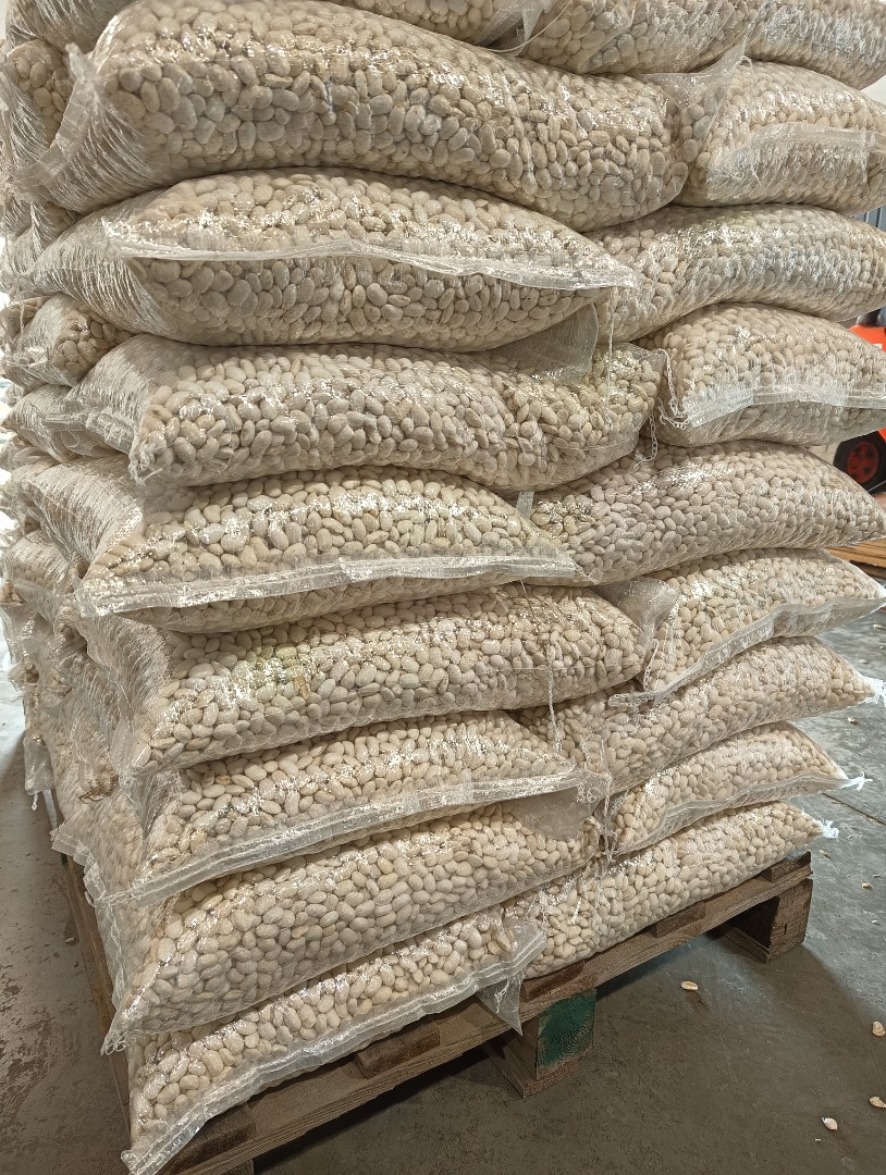 I am selling beans, various types, dry goods up to 16% humidity, nicely sorted, packed in 10 kg, 25 kg, 50 kg bags or 1 ton BIG BAGS