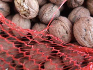I sell walnuts in shell and shelled, tons. Harvest