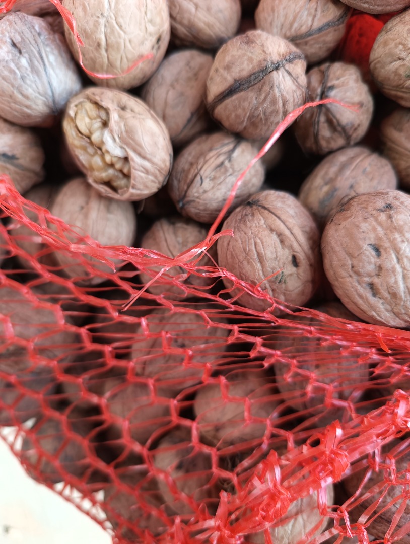 I sell walnuts in shell and shelled, tons