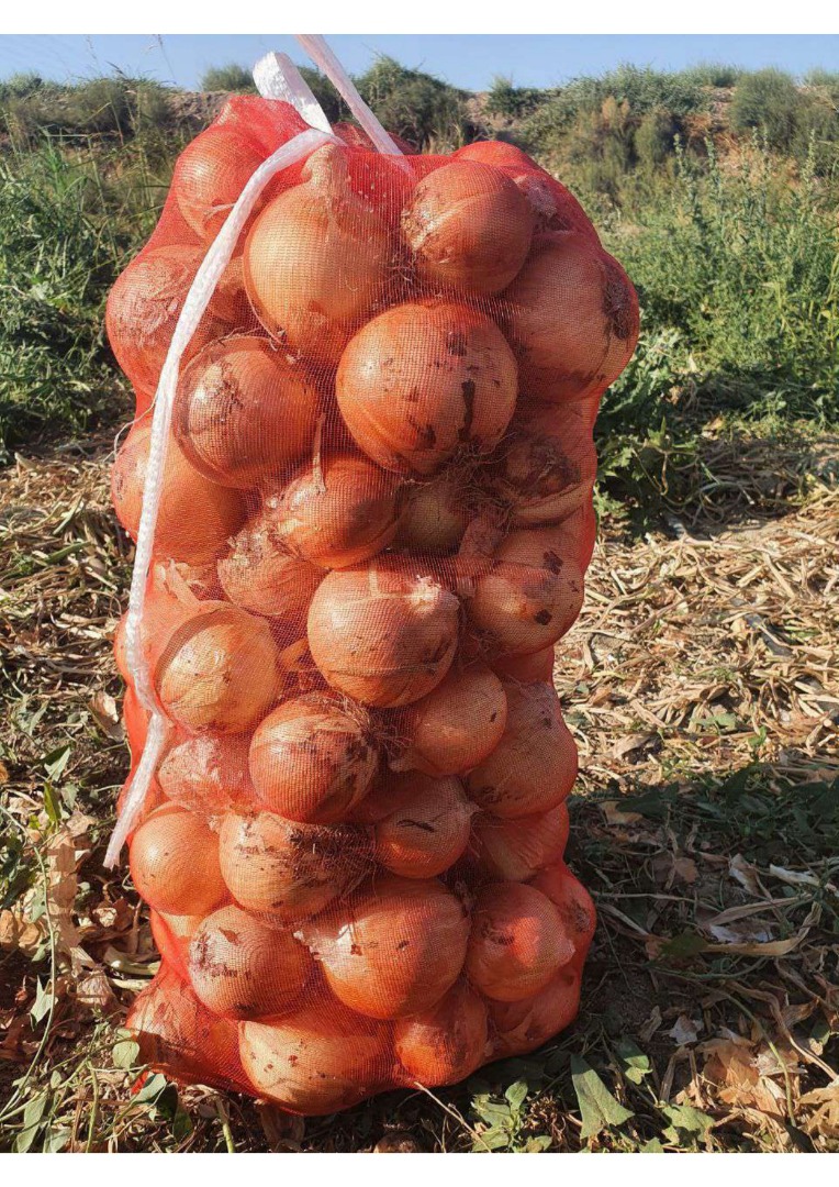 Our company offers you direct deliveries of yellow, red and white onions from Uzbekistan and Kazakhstan to the European Union