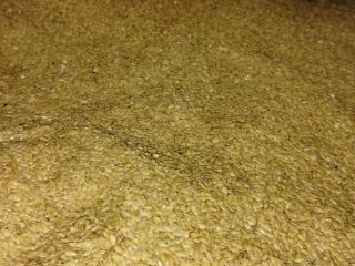 Good day, Our company Growex can deliver seeds of