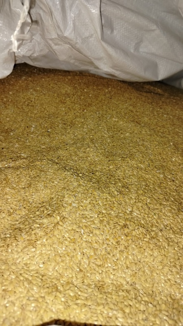 Good day, Our company Growex can deliver seeds of flax , mustard seeds, green lentis, red lentis, yellow pea, oil raddish, phacelia