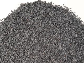 I will sell blue poppy seeds compliant with EU