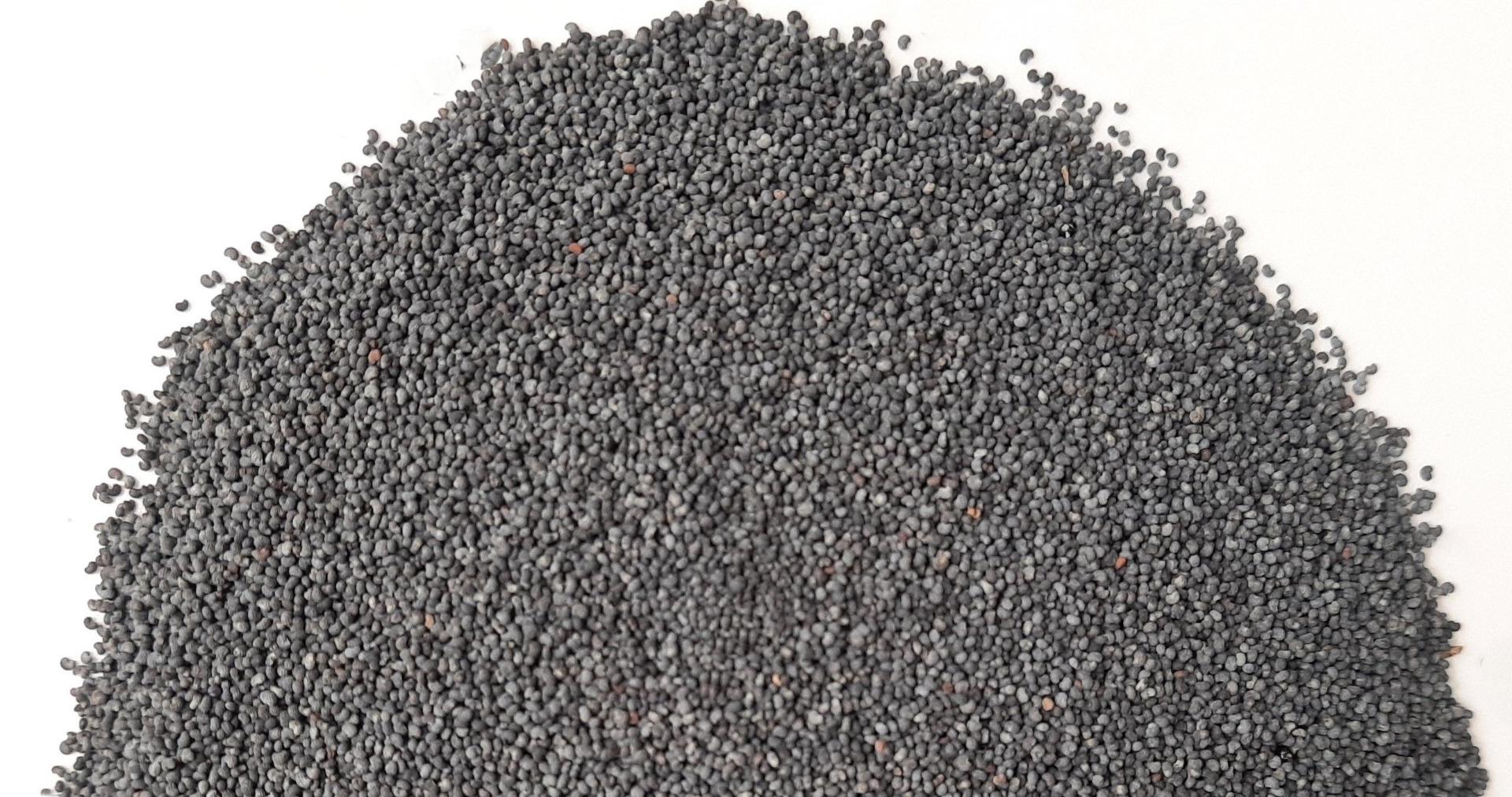 I will sell blue poppy seeds compliant with EU standards