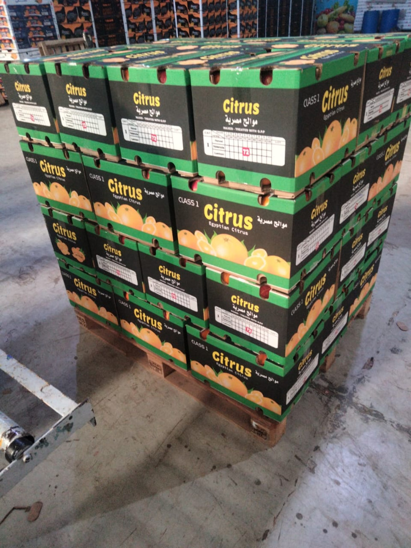 I will sell wholesale Valencia oranges Country of origin: Egypt Sizes (56,64,72,80,88,100) Price depends on size