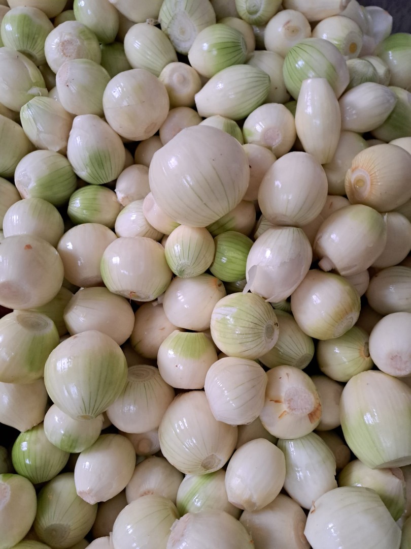 I will sell peeled onions