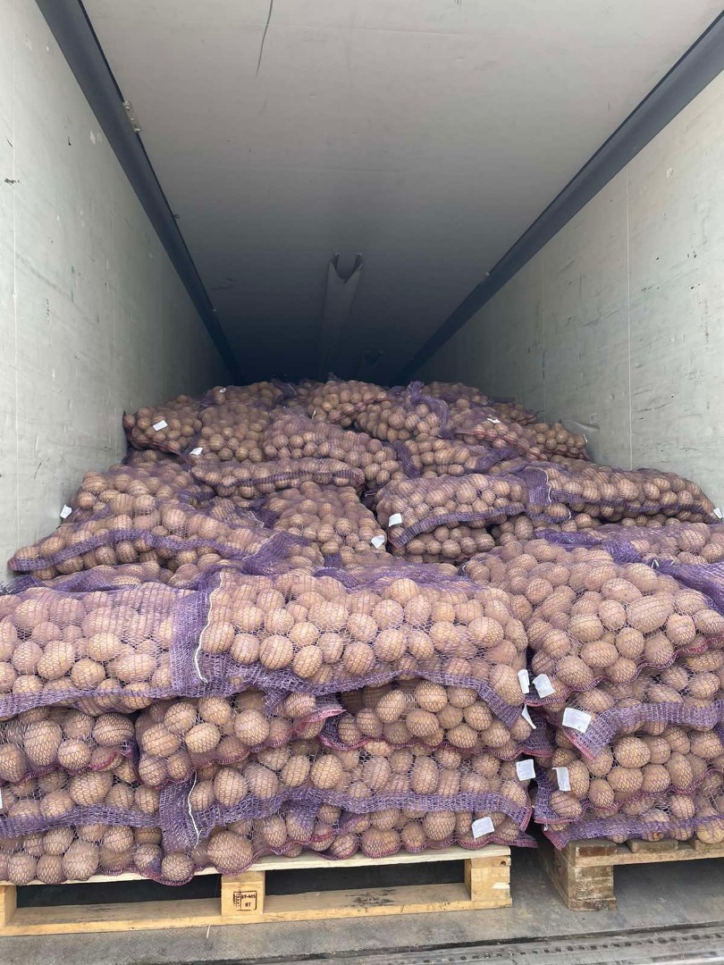 Our company offers for sale potatoes of different varieties (Gala, Colombo, Queen Anne and others)