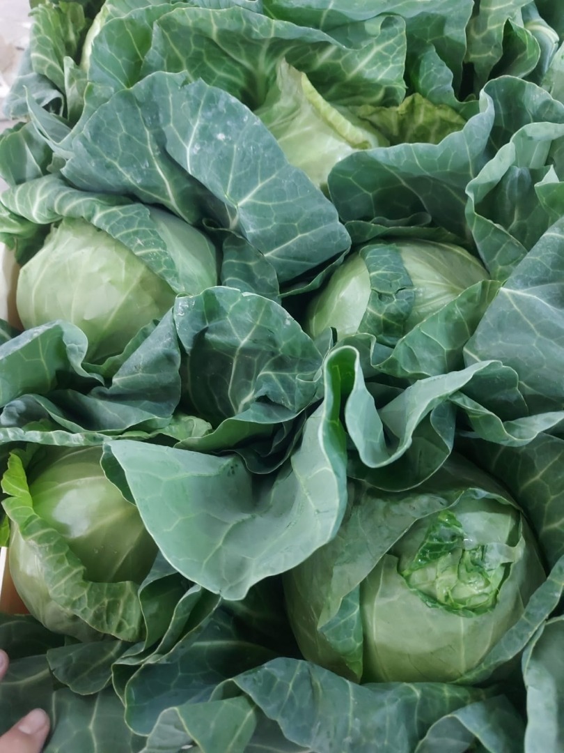 We are a company that deals with the cultivation of fruits and vegetables, we also cooperate with our fellow farmers when larger quantities are needed for