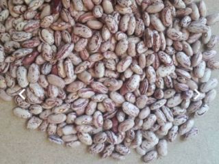 I'll buy beans