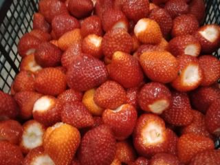 Buyer needed for d/z strawberry harvest 2024, half of