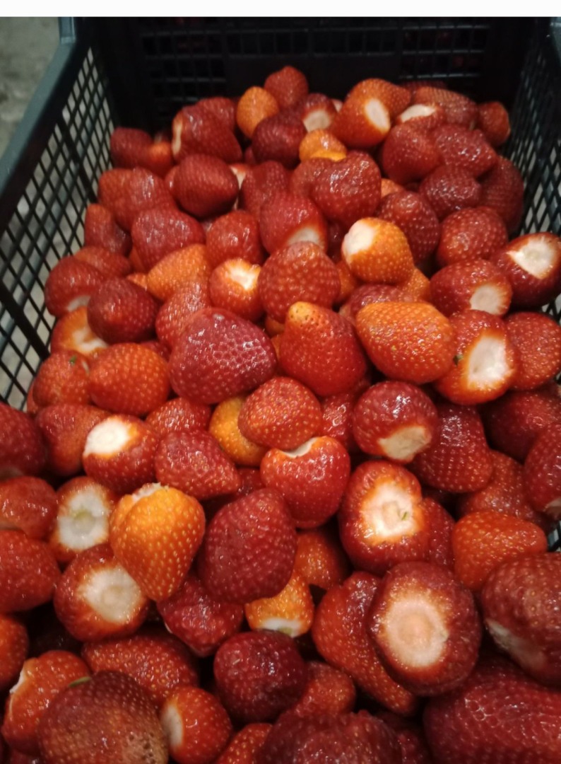 Buyer needed for d/z strawberry harvest 2024, half of 5 months