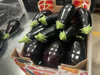 Eggplant from Spain, without intermediaries - large quantities