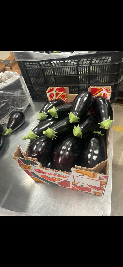 Eggplant from Spain, without intermediaries - large quantities