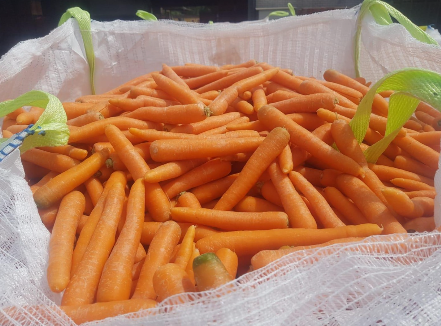 we supply fresh potatoes at a very good and reasonable price and we will deliver their order to the address provided if you are interested please contact us