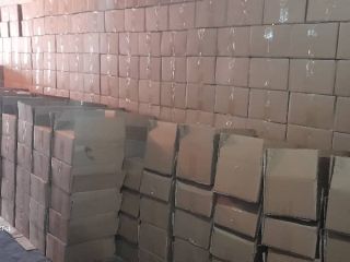 I will sell wholesale walnuts, halves, quarters, 10 kg
