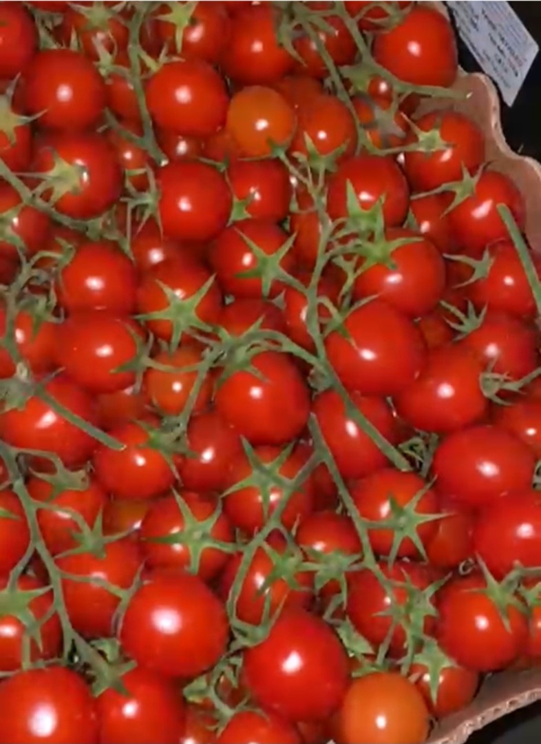 Picadilly quality, Sicily excellent pulp