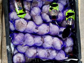 I will sell white and red garlic of Spanish