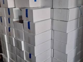 Wholesale walnuts