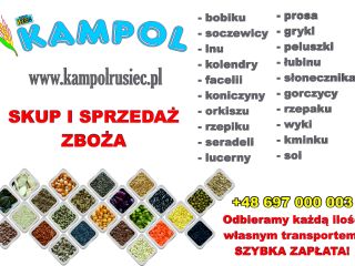 I will buy MILLET (yellow, white, red), PEAS, PAPING,