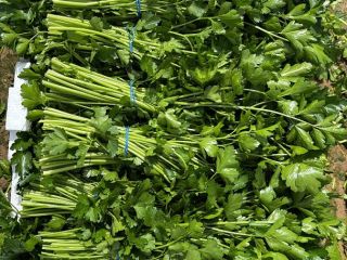 Good morning, we are farmers, producers and exporters of