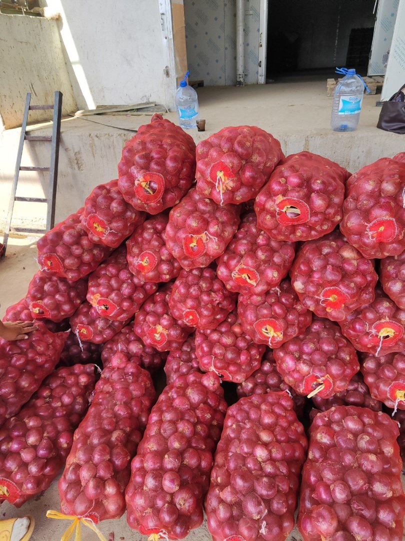 NEW YOUNG ONION / NEW ONIONS START IN UZBEKISTAN Harvesting of new onion crop start in Uzbekistan Young cabbage new seasons march month 2024 new carrot young