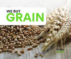 I buy corn/wheat in large quantities, minimum 10,000 tons (from Romania/Turkey/Ukraine, etc.)