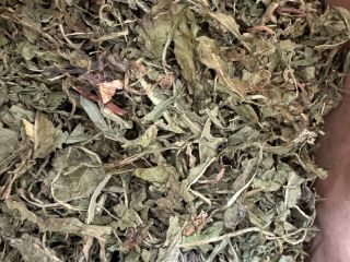 I will sell whole dandelion leaf, batch 8500 kg