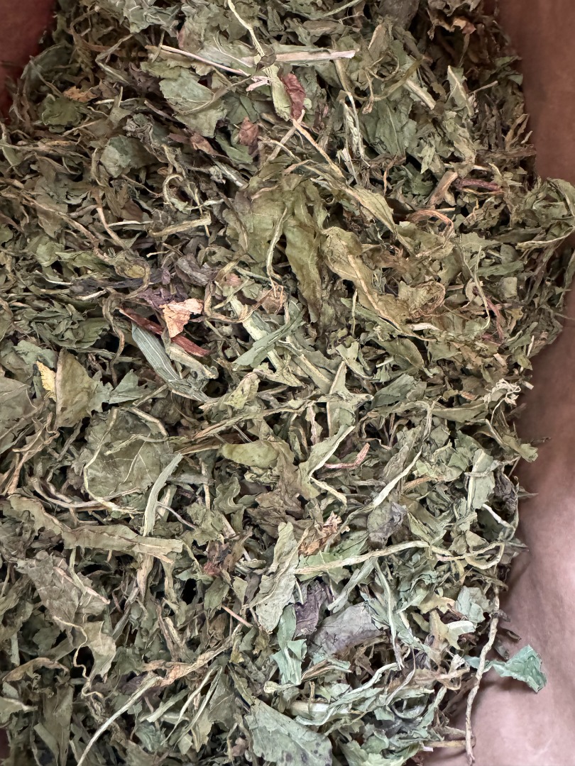 I will sell whole dandelion leaf, batch 8500 kg and cut (2100 kg)