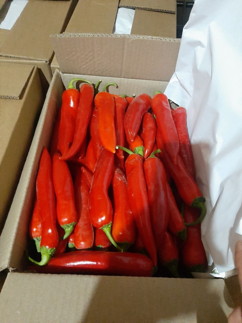 fesh red chilli fresh Red chillies export from Uzbekistan with Fly (air) truck ref (frigo)
