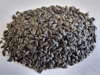 Sunflower black Price given FCA Osina Mała, 98-358 Kiełczyglow