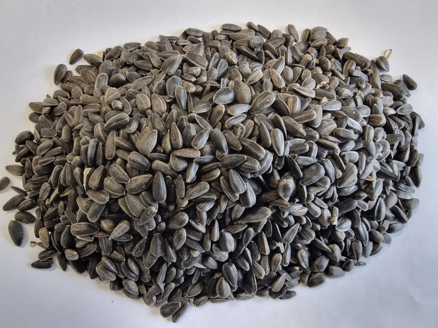 Sunflower black Price given FCA Osina Mała, 98-358 Kiełczyglow purity: 99% Method of packaging on clients request Price to be agreed and final confirmation