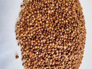 Red Sorghum Price given FCA Osina Mała, 98-358 Kiełczyglow
