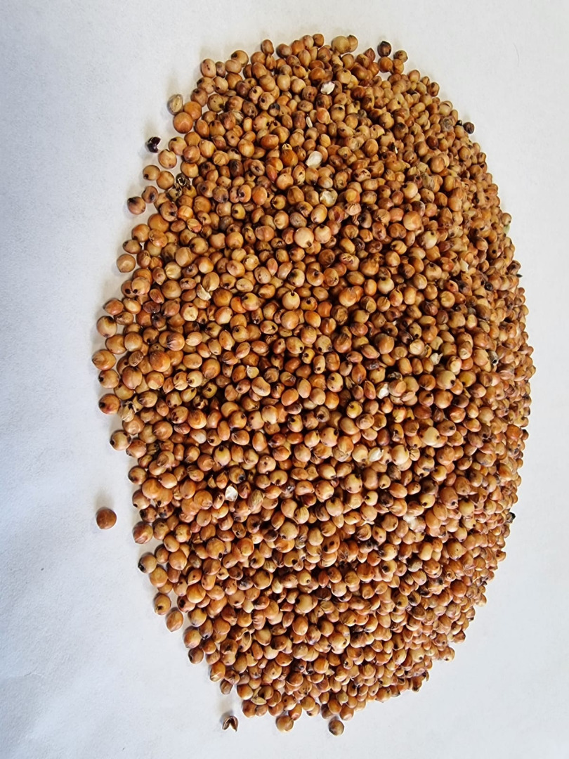 Red Sorghum Price given FCA Osina Mała, 98-358 Kiełczyglow purity: 99%, Method of packaging on clients request Price to be agreed and final confirmation Price