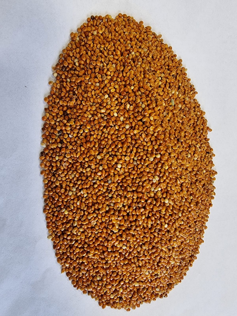 Red millet/ Red millet Price given FCA Osina Mała, 98-358 Kiełczyglow purity: 99%, Method of packaging on clients request Price to be agreed and final