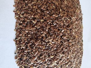 Brown linseed / Brown flaxseed Price given FCA Osina