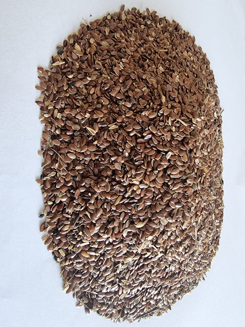 Brown linseed / Brown flaxseed Price given FCA Osina Mała, 98-358 Kiełczygłów purity: 98%, Method of packaging on clients request Price to be agreed and final