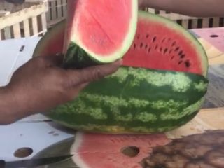 We are importers and producers of Zaghoura watermelon. We
