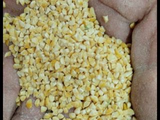 Ground peas, groats, in big bags. The price is