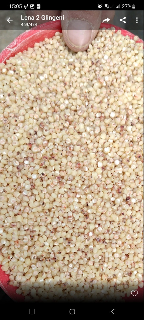 Ground sorghum, groats, in big bags of 1 ton each