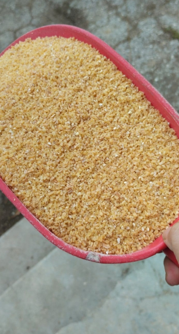 Durom milled wheat, crown, in BIG begs