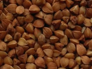Grano saraceno in chicchi grossi, prodotto in Ucraina-Russia. Prezzo