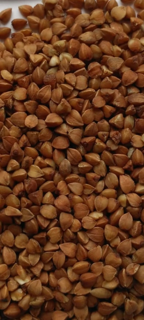Buckwheat in big beans, produced in Ukraine-Russia