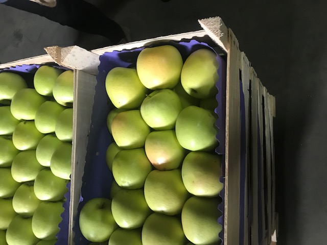 We offer apples from Poland of all varieties in any packaging